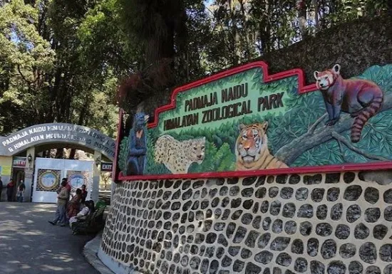 Padmaja Naidu Himalayan Zoological Park